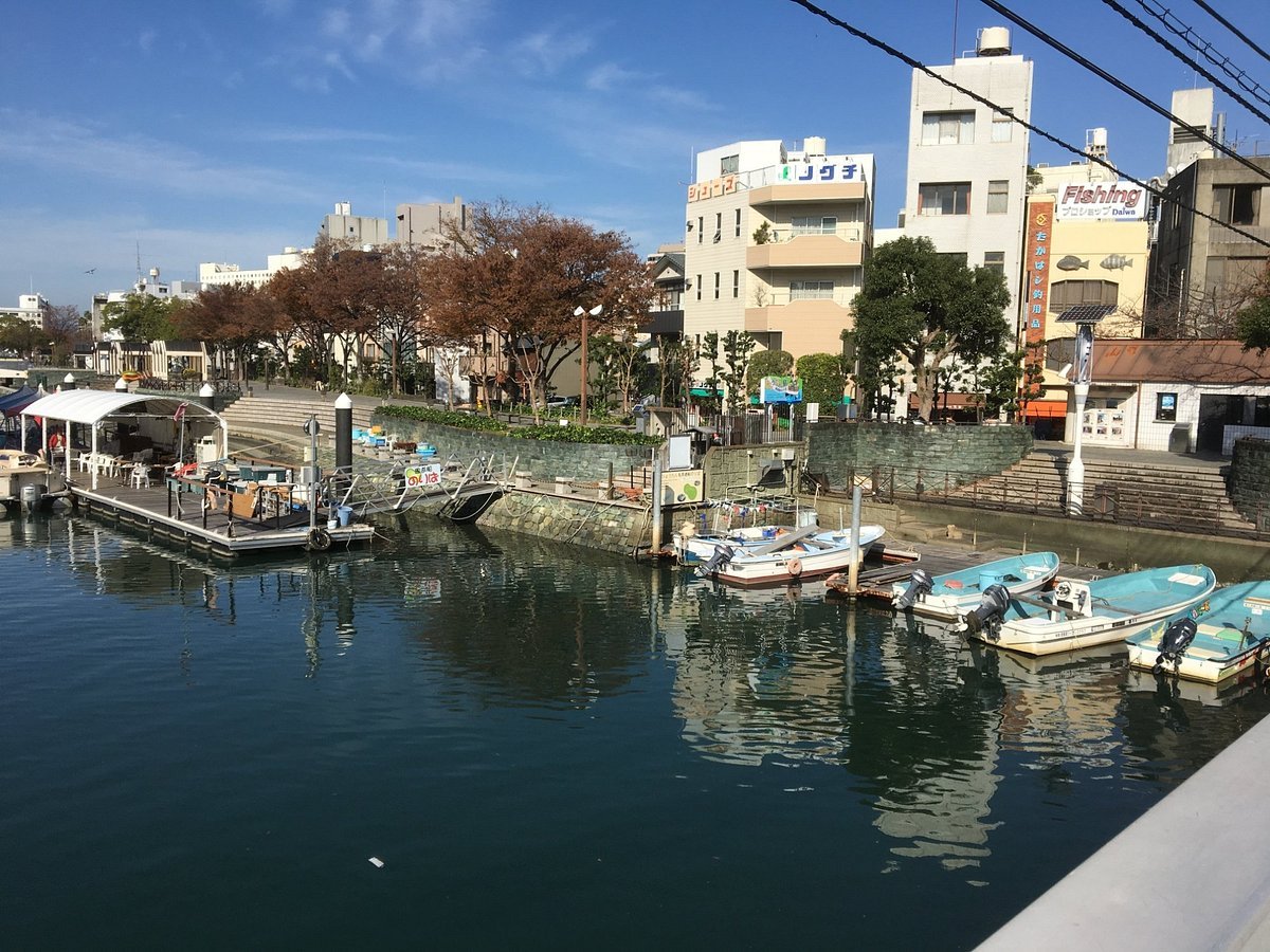 🌉 료고쿠 다리 (료고쿠바시) 이미지 6